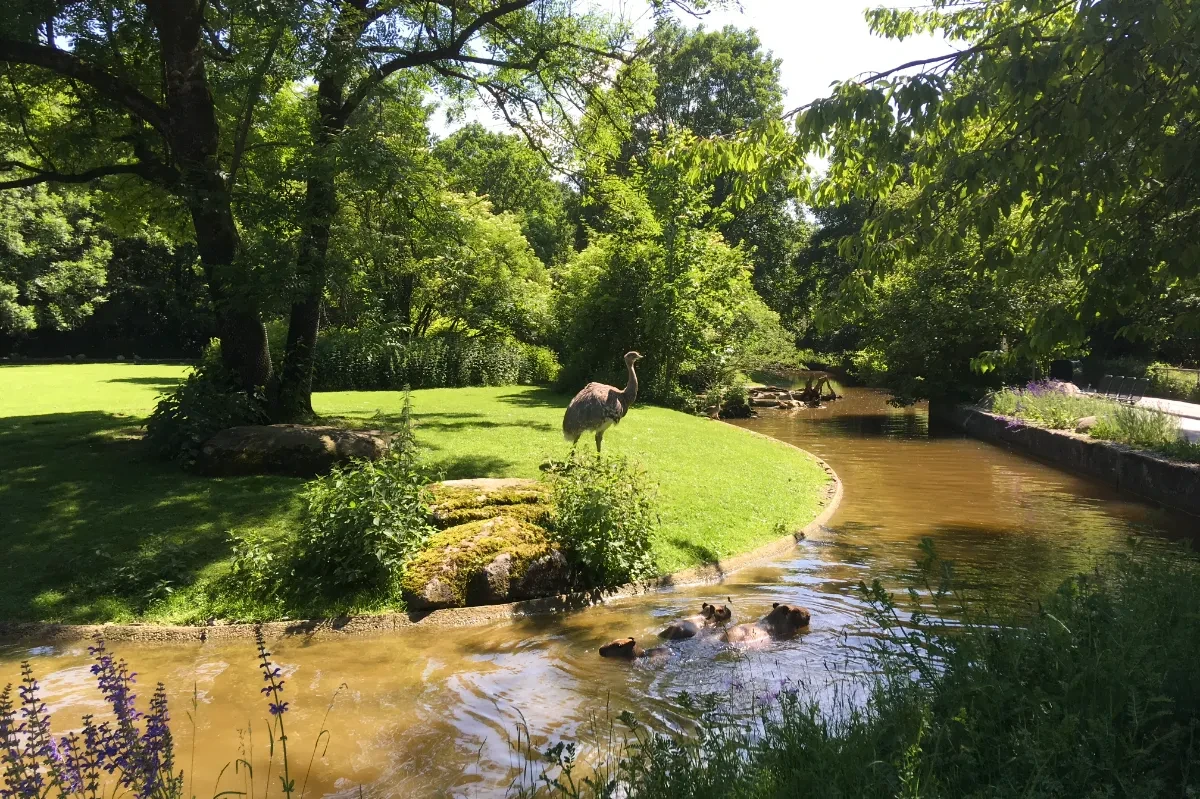 Hellabrunn Zoo